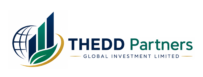 THEDD Partners Global Investment Limited